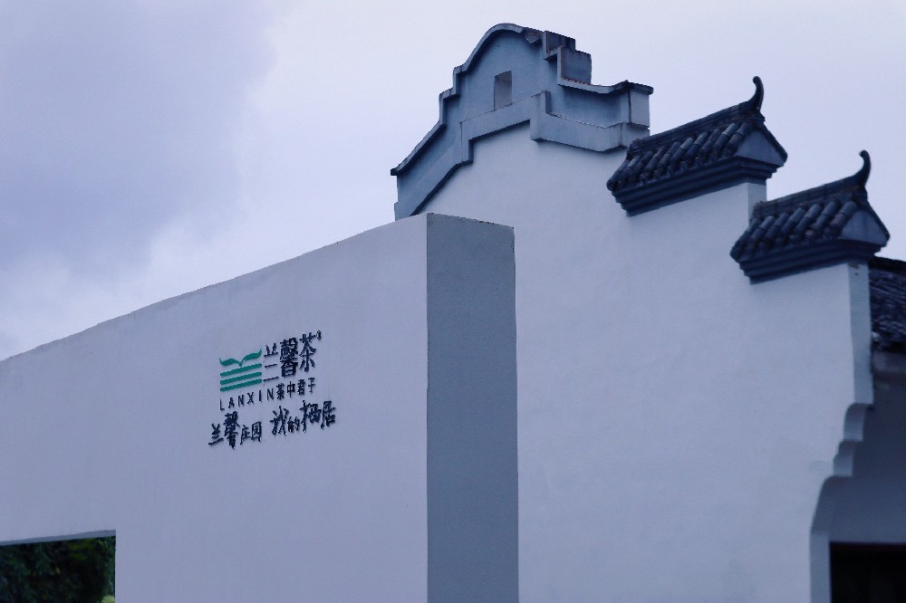 尋味蘭馨莊園：中秋國慶，赴一場茶香深處的田園之約
